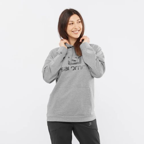 Grey Salomon Outlife Logo Summer Heather Women's Hoodie | IE NS6375